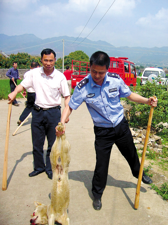 瘋狗咬人,梅州緊急撲殺