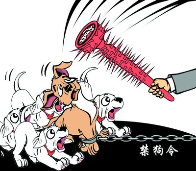 > 正文      5月20日,黑河市政府颁布了见狗杀狗的禁狗令:从5月23