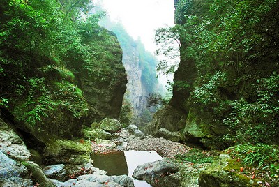 探幽安化茶馬古道