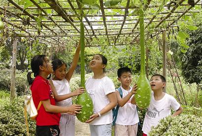 图文:武汉植物园端出夏日科普大餐