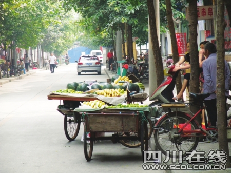 從早上六七點鐘開始,樓下的街道上就開始陸續有人推著三輪車叫賣水果