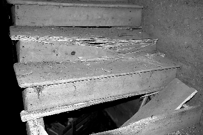 福建一村庄房梁被白蚁蛀空50余户村民向政府求助