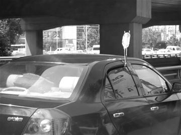 图文边开车边打吊针