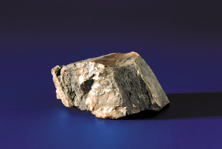 获赠月球石 竟是木化石