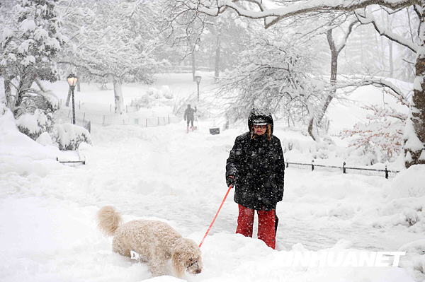 2月26日,一名妇女在美国纽约中央公园的雪地上遛狗.