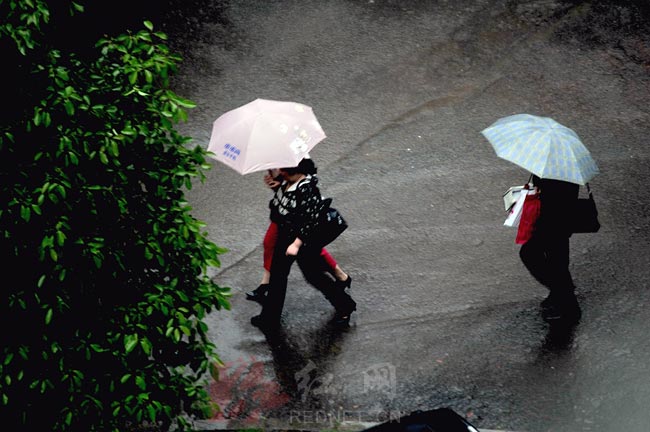 今日清晨,风狂雨泼,立夏后的第一场大雨突然袭长,顿时路面积水,给正去