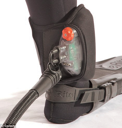 电子盾牌让鲨鱼痉挛 有效防止鲨鱼的攻击