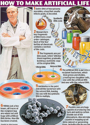 首个人造生命在美国诞生