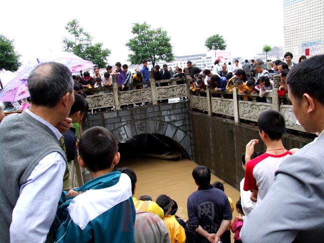 6月8日,湖南溆浦县城城北防洪大堤水码头,不时被洪水冲来许多蛇,引来