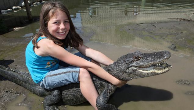 美國9歲女孩能空手馴服鱷魚將鱷魚當寵物組圖