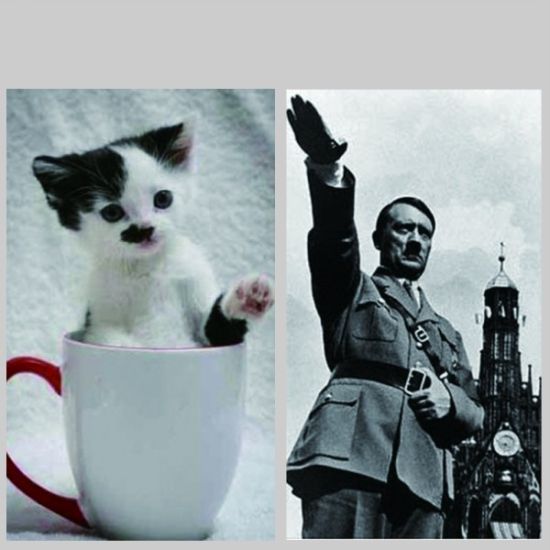 希特勒的胡子图片