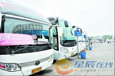 各種高檔豪華客車停在汽車南站,它們為乘客提供了更舒適的出行環境.