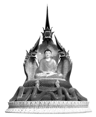 印度龙 龙跃在渊 独角护法