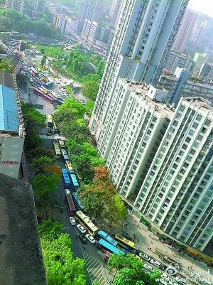 搭摩的过石门大桥去沙区,50元走不走?