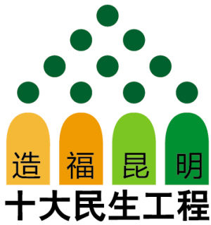实施"十大民生工程",推动经济发展与幸福指数同步增长 3年后城市居民