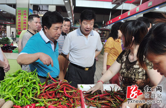 省委第六巡视组考察攸县经济社会发展情况