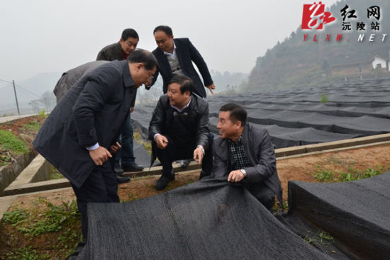 省财政厅副厅长欧阳煌一行来沅陵调研扶贫开发项目工作