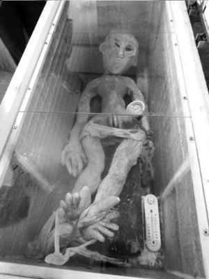 山东男子称电死外星人经查系钢丝骨胶制作