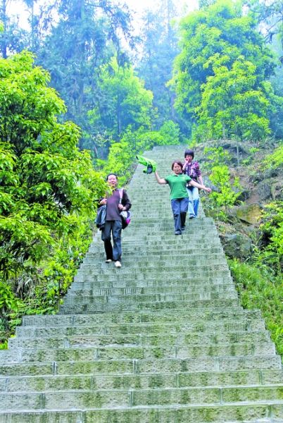九龙坡区白塔坪森林公园登山步道记者 邹飞 摄商报记者 罗永攀 实习生