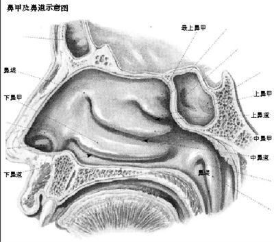 手术造成空鼻症尚无证据