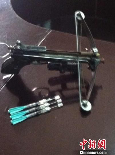 浙江摧毁特大跨省盗销毒杀狗团伙 涉案犬1600余条