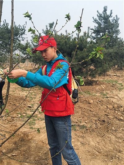 西安莲湖分红险：给您的财富添砖加瓦