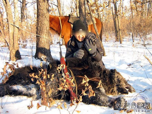 網上獵熊開膛圖片遭聲討獵人稱是合法狩獵圖