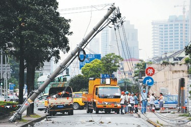 土方车车斗扯倒10千伏电线杆