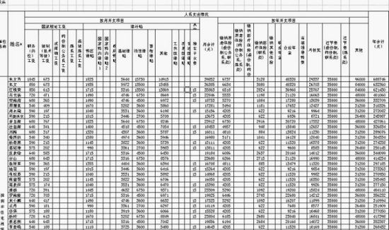 网友曝光的深圳市住宅租赁管理服务中心工资单 网友图