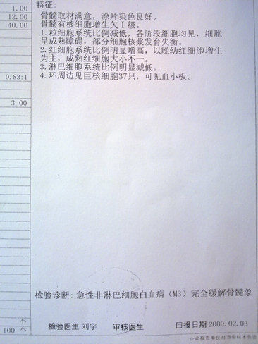2009年2月3日,赵阳玉在哈尔滨所做的骨髓检验结果出来,完全缓解骨髓象