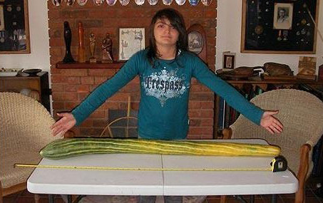 世界上最长的黄瓜图片