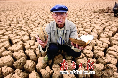 全球7人中仍有1人挨饿