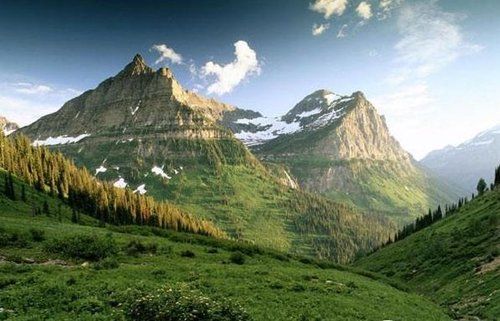 韩国林业专家赴朝鲜金刚山 调查松树病虫害情况