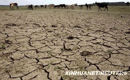 圖片 > 正文 近日,巴西北部地區遭遇旱災,由於持續的乾旱,湖中無水