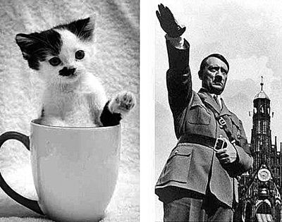 希特勒标准像图片