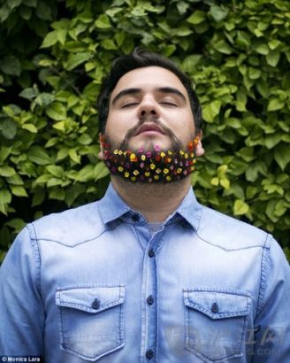 男士也爱美美国掀起胡子插花风潮双语