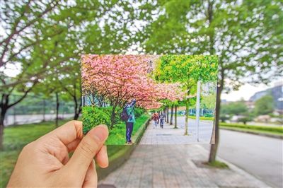 男生拍校园穿越照勾情怀爆红网络图