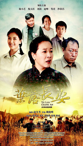 《叶落长安》,这部以郝玉兰,梁长安等河南籍的外乡人群,在西安五十年