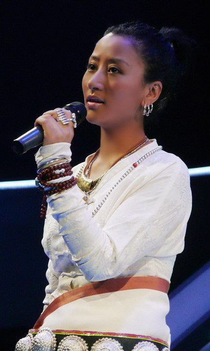 杨澜携手阿佳组合 共同"呼唤"绿色影响力(图)