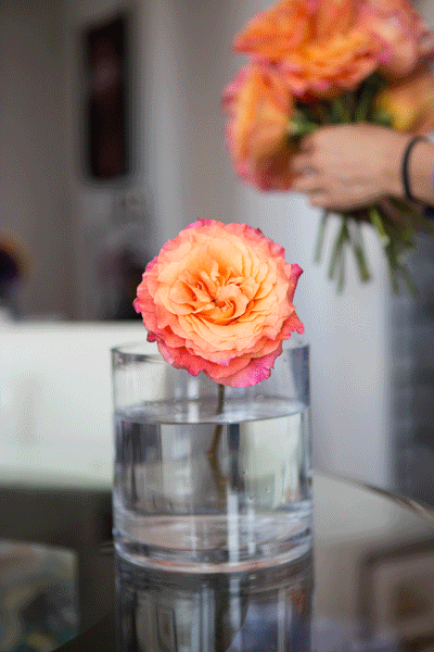 花瓶插花动态图图片