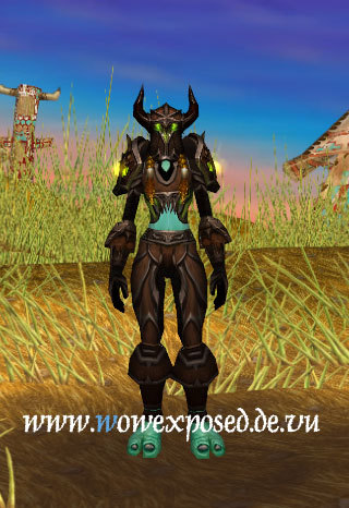 资料片t4套装试衣间猎人