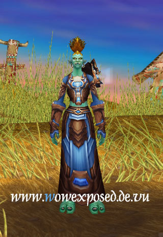 资料片t4套装试衣间法师