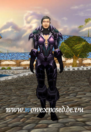 资料片t4套装试衣间盗贼