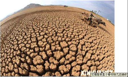 论坛活动为西南干旱祈福