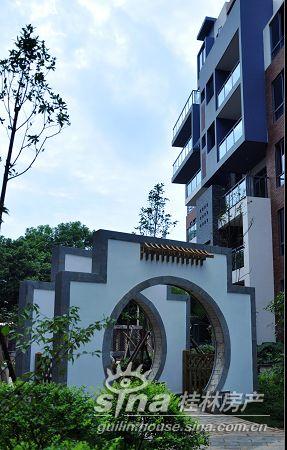 碧园香樟林实景图