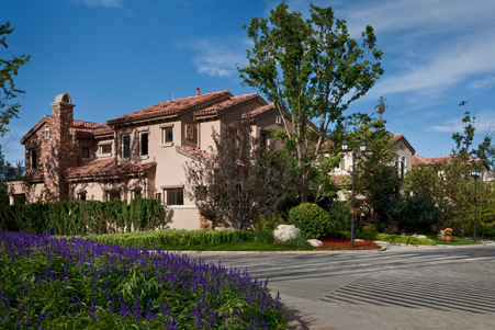 揭秘御汤山卫冕奥北别墅销冠之谜