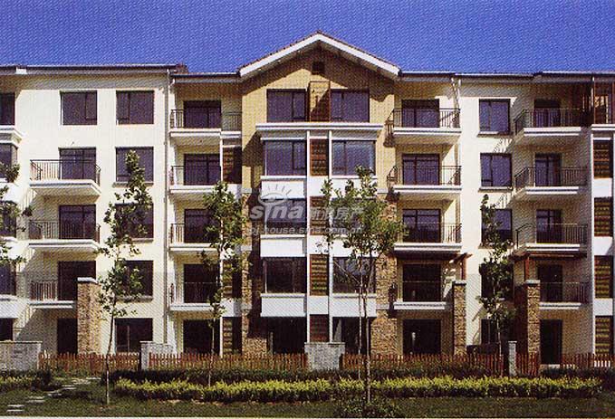 美林湾 实景图 楼体外观