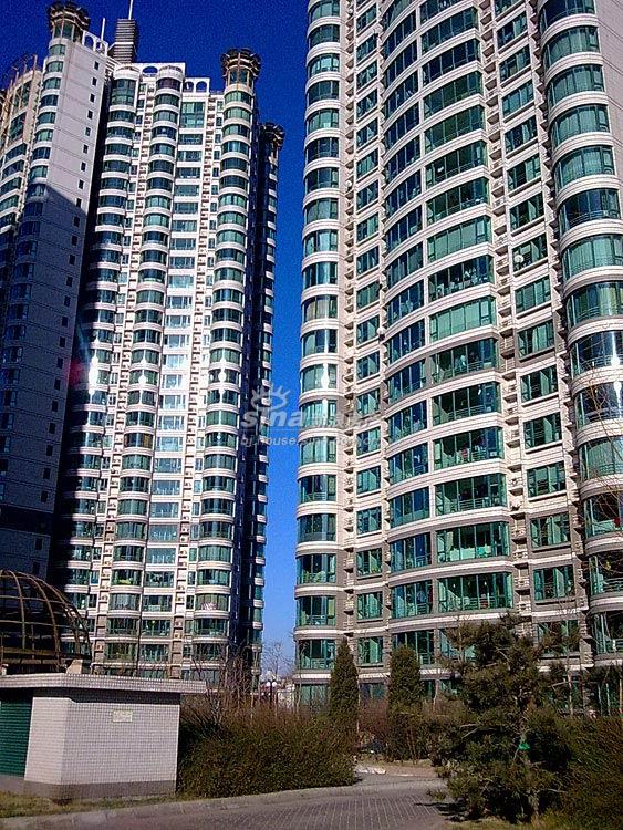 珠江绿洲 实景图 社区内实景