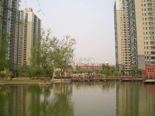 怡海花园(六期) 实景图 项目环境