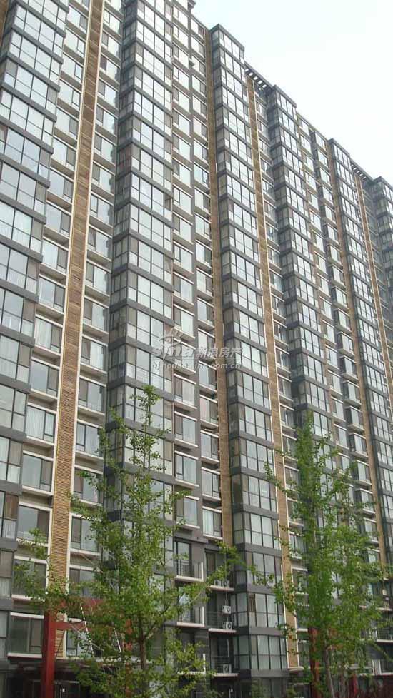 慧谷金色家园 实景图 项目外观